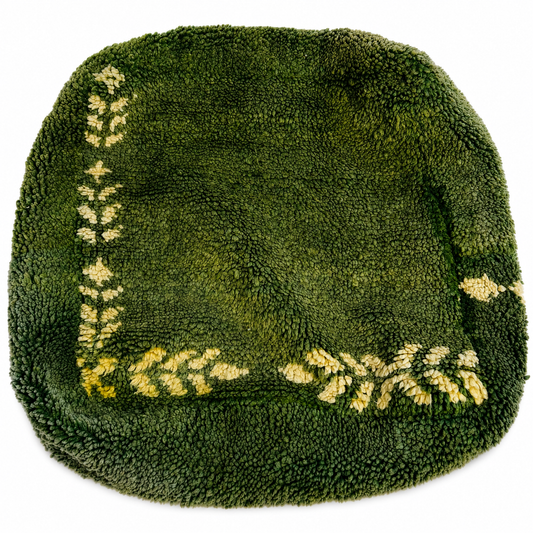 Green textured rug with decorative yellow border on a white background